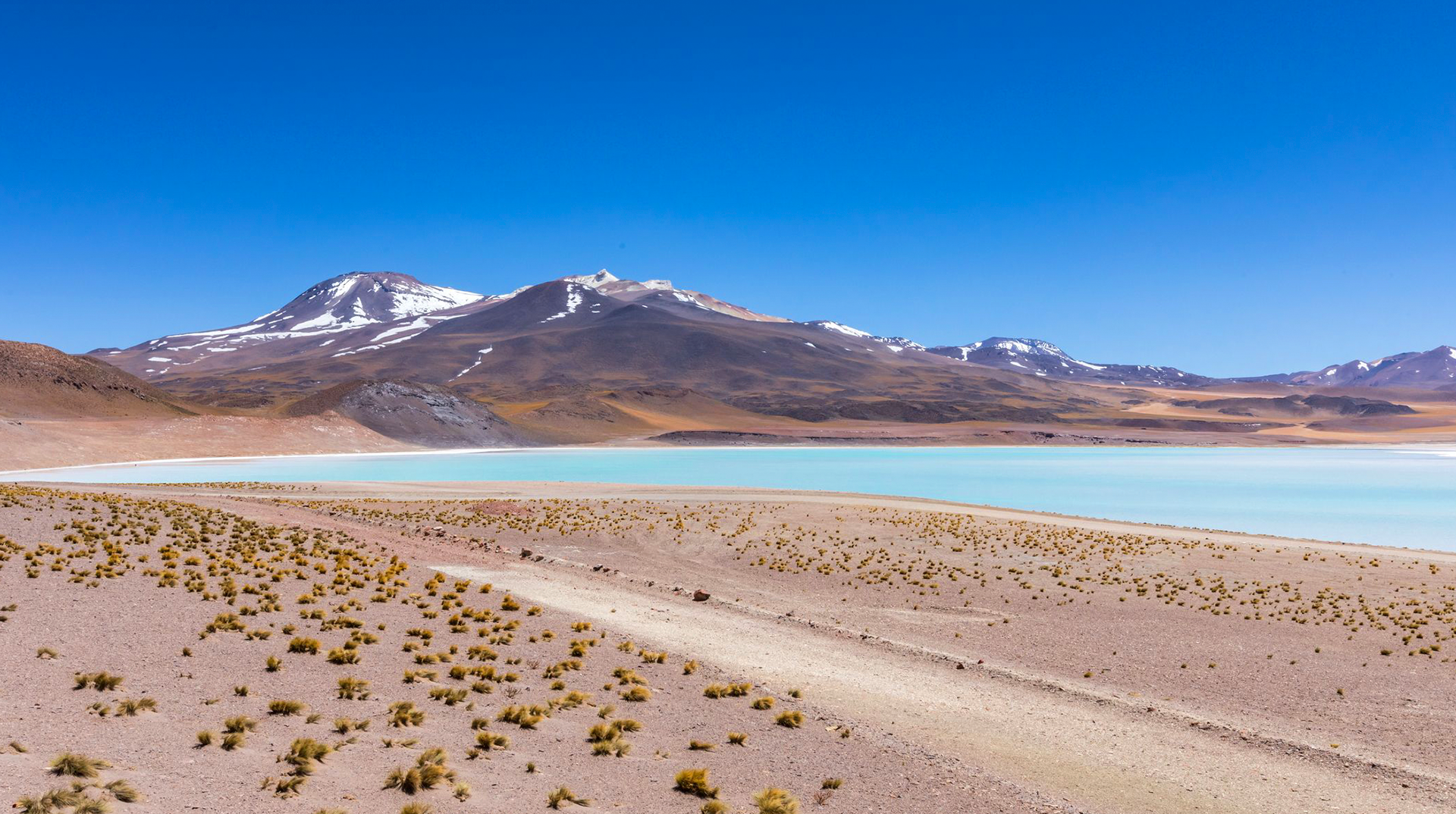Calama.webp